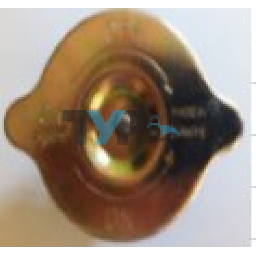 FORD ENGINE OIL CAP PAINTED