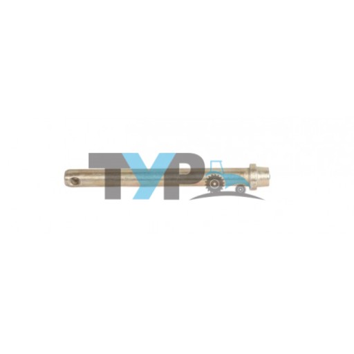 MF