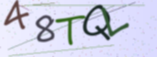 Güvenlik Kodu