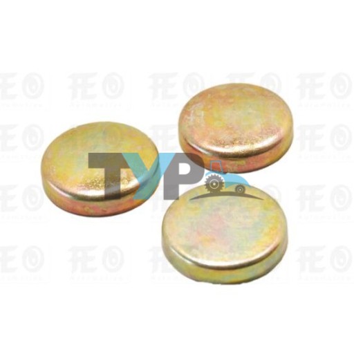 FORD 33.90 mm MOTOR BLOK SU TAPASI